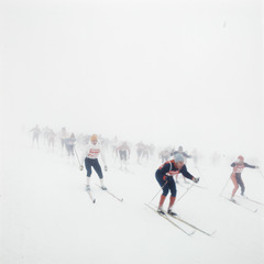 Many cross-country skiers in the fog.